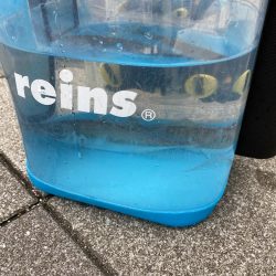 初日本海アジング