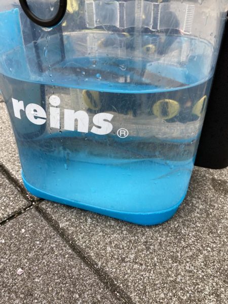 初日本海アジング