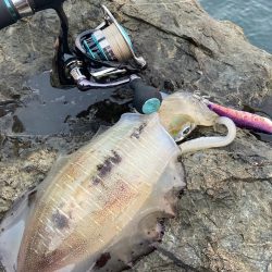 試しに3.5号投げてみた