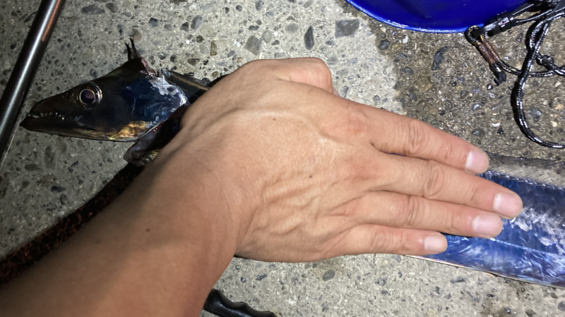 こちら久々の♪