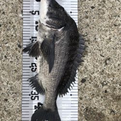 イチノ兄弟、釣果!