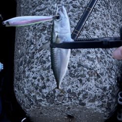 当たるって楽しい！