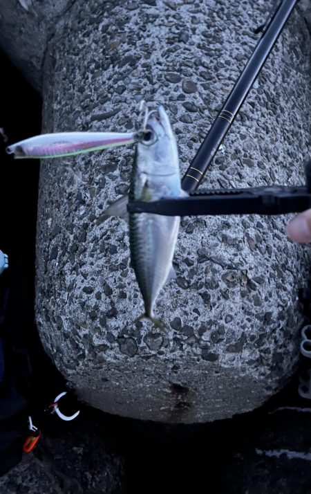 当たるって楽しい！