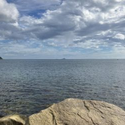 宮津アオリ&マゴチ