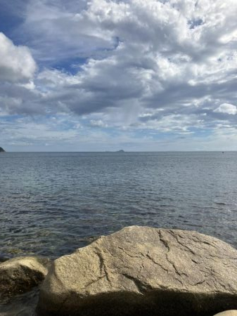 宮津アオリ&マゴチ