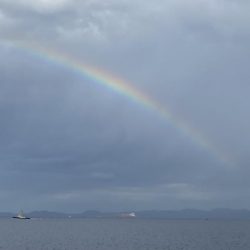 太刀魚はまだか…