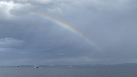 太刀魚はまだか…