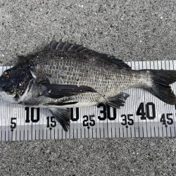 イチノ兄弟、釣果！