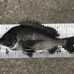 イチノ兄弟、釣果!