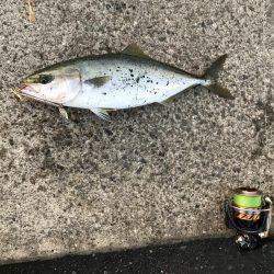 やる気が無いと…