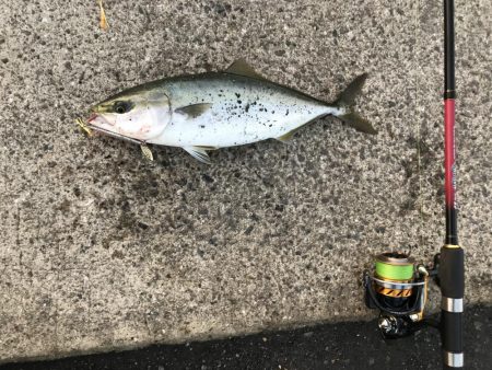 やる気が無いと…