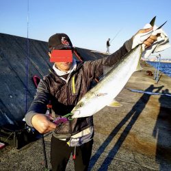 久しぶりのブラならずで、メジロ〜