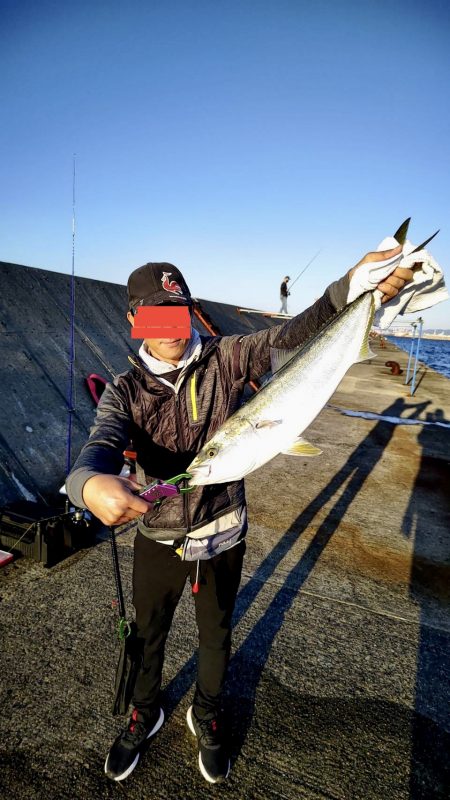 久しぶりのブラならずで、メジロ〜