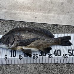 イチノ兄弟、釣果！