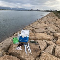 釣れたらデカい