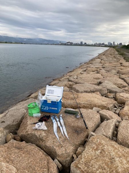 釣れたらデカい