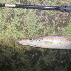 ががっときました。