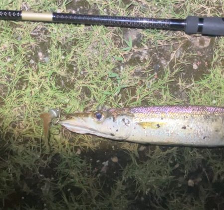 ががっときました。