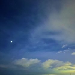 セットアッパーって釣れるんですね😅