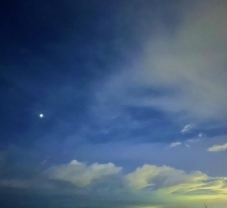 セットアッパーって釣れるんですね😅