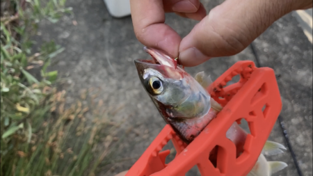 ウルトラライトジギング