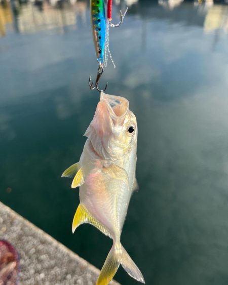 トップアジング