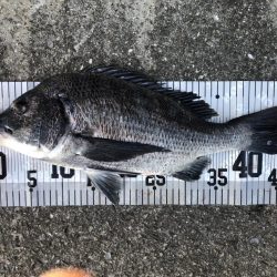 イチノ兄弟、釣果！