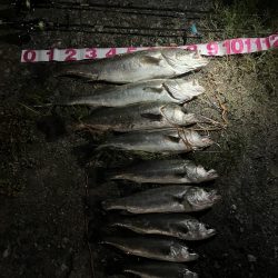 いいタイミングで入れて良かったぜ