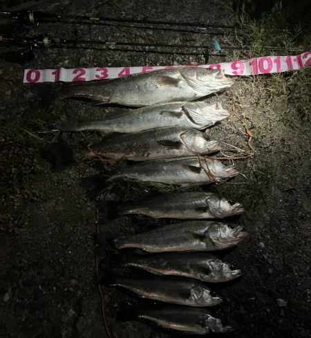 いいタイミングで入れて良かったぜ