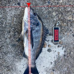 まずまずの釣果