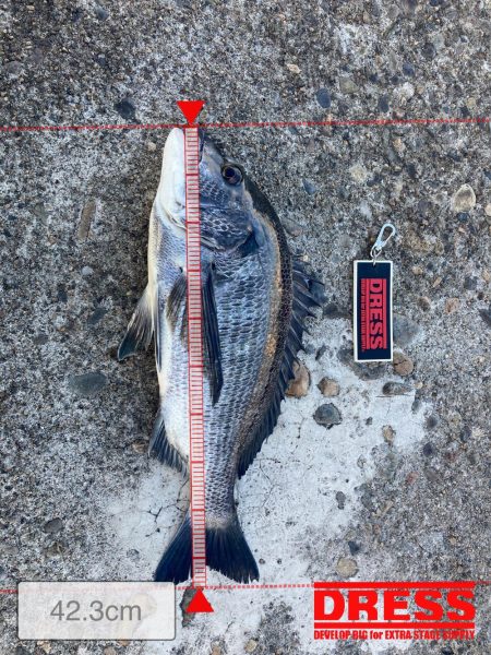 まずまずの釣果