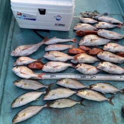 伊島周辺でシオ