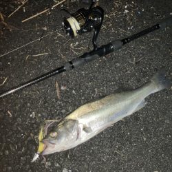 ががっときました。