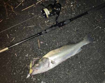 ががっときました。