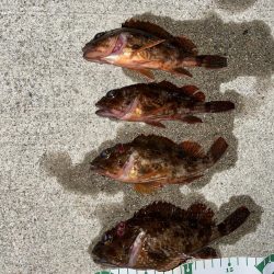 ライトワインド