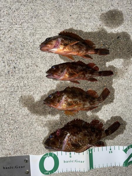 ライトワインド