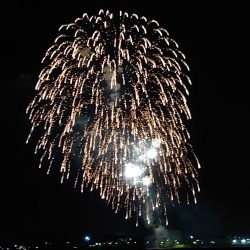 タチウオ開幕？調査のはずが