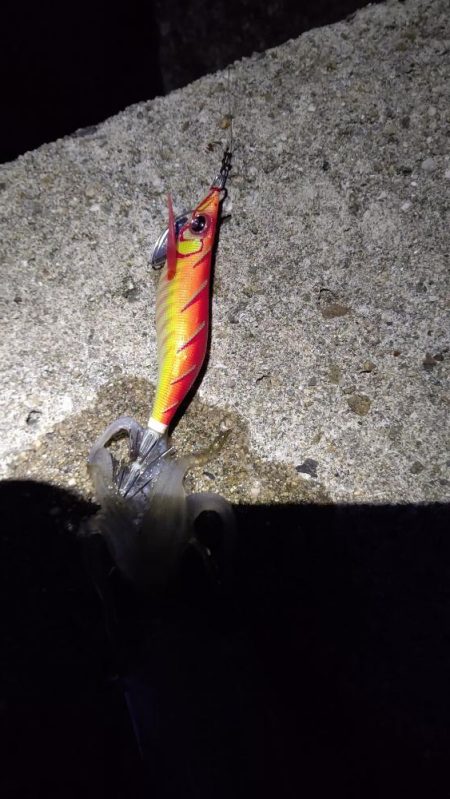 TEAMゲッソー調査隊