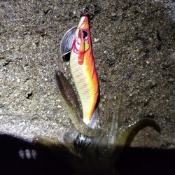 TEAMゲッソー調査隊