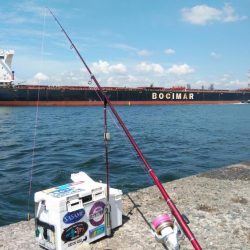 活性が上がり始めた播磨新島のキス