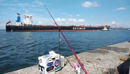 活性が上がり始めた播磨新島のキス