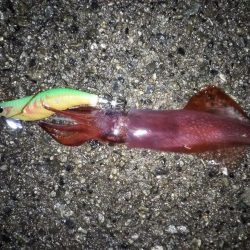 やっぱりスランプ!?