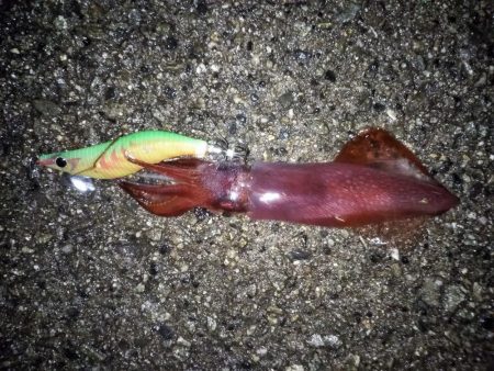 やっぱりスランプ!?