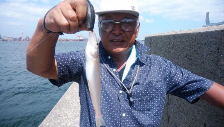 少しづつキスの型が良くなりました