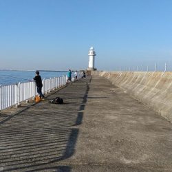 日が上がると暑い