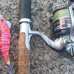 アオリ狙いで数か所釣行