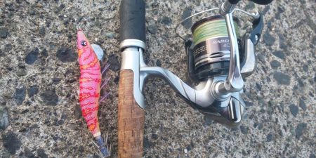 アオリ狙いで数か所釣行