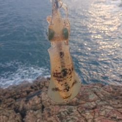 トップでツバス