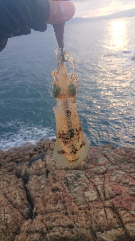 トップでツバス