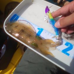 溜まり場見つけられず